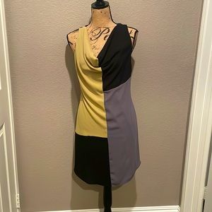 NWT Colorblock shift dress